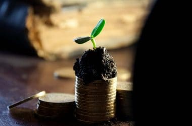 Qu'est ce que le revenu ? Une pile de monnaie couverte de terreau avec une plante qui pousse.