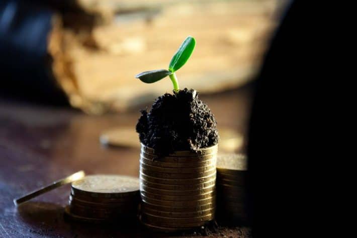 Qu'est ce que le revenu ? Une pile de monnaie couverte de terreau avec une plante qui pousse.