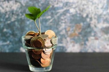 Mutuelle santé/ Un pot de pièces de monnaie dans lequel pousse une plante.